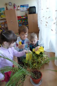 SAM_0749
