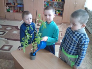 CAM01415